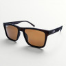 Сонцезахисні поляризовані окуляри Ray Ban P0526 Brown